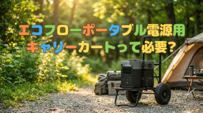 エコフローポータブル電源用キャリーカートって必要？