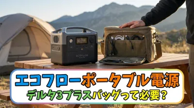 エコフローポータブル電源デルタ3プラスバッグって必要？